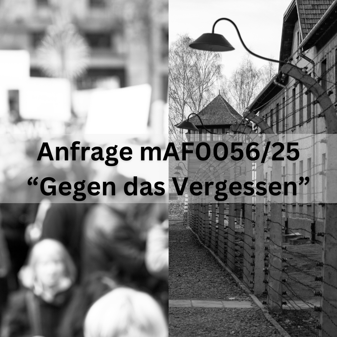 Gegen das Vergessen, Anfrage mAF0053/25