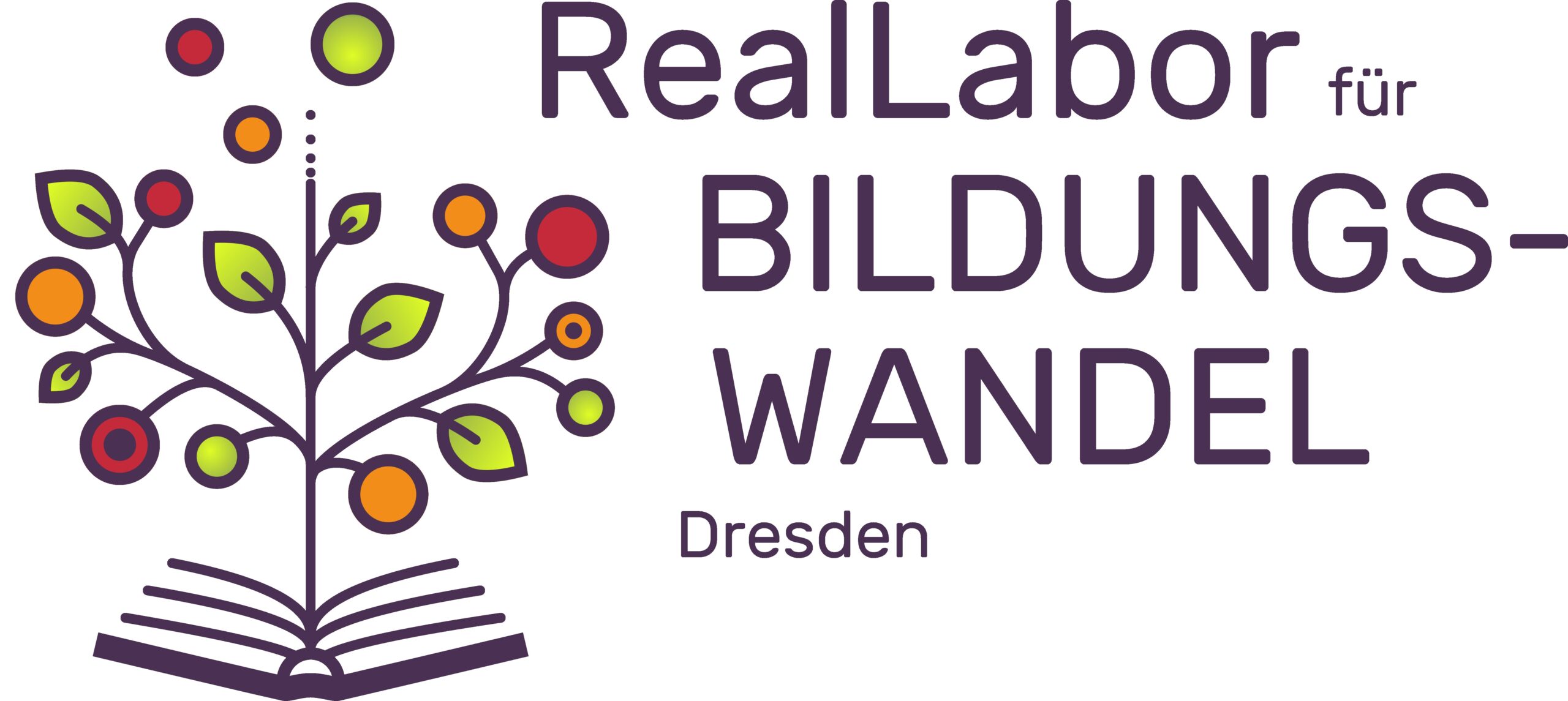 Logo Reallabor